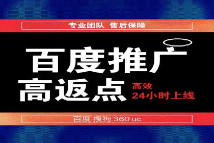 百度竞价托管公司成功案例：打造行业领先品牌